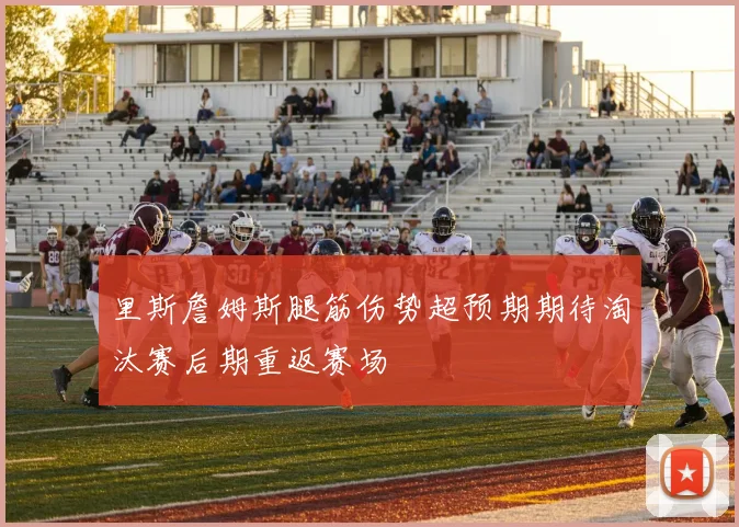 里斯詹姆斯腿筋伤势超预期期待淘汰赛后期重返赛场