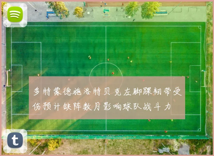 多特蒙德施洛特贝克左脚踝韧带受伤预计缺阵数月影响球队战斗力
