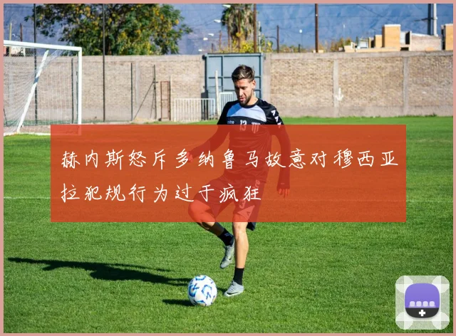 赫内斯怒斥多纳鲁马故意对穆西亚拉犯规行为过于疯狂